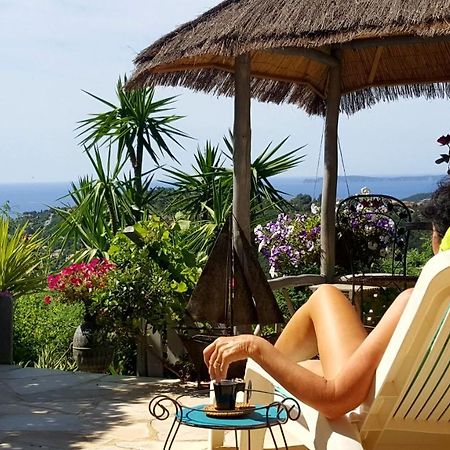Nouveau ! Chambre D'Hote Insolite Privee " Coeurs De Pirates A Bali En Provence" Spa Sauna Massages Dans Cadre Exotique D'Amenagements Exterieurs D'Exception Ete Comme Hiver Bienvenue !!! Cavalaire-sur-Mer Zewnętrze zdjęcie