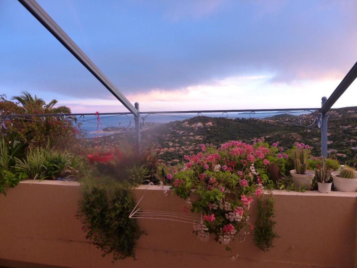 Nouveau ! Chambre D'Hote Insolite Privee " Coeurs De Pirates A Bali En Provence" Spa Sauna Massages Dans Cadre Exotique D'Amenagements Exterieurs D'Exception Ete Comme Hiver Bienvenue !!! Cavalaire-sur-Mer Zewnętrze zdjęcie