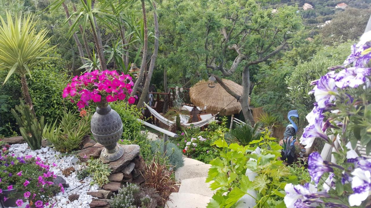 Nouveau ! Chambre D'Hote Insolite Privee " Coeurs De Pirates A Bali En Provence" Spa Sauna Massages Dans Cadre Exotique D'Amenagements Exterieurs D'Exception Ete Comme Hiver Bienvenue !!! Cavalaire-sur-Mer Zewnętrze zdjęcie