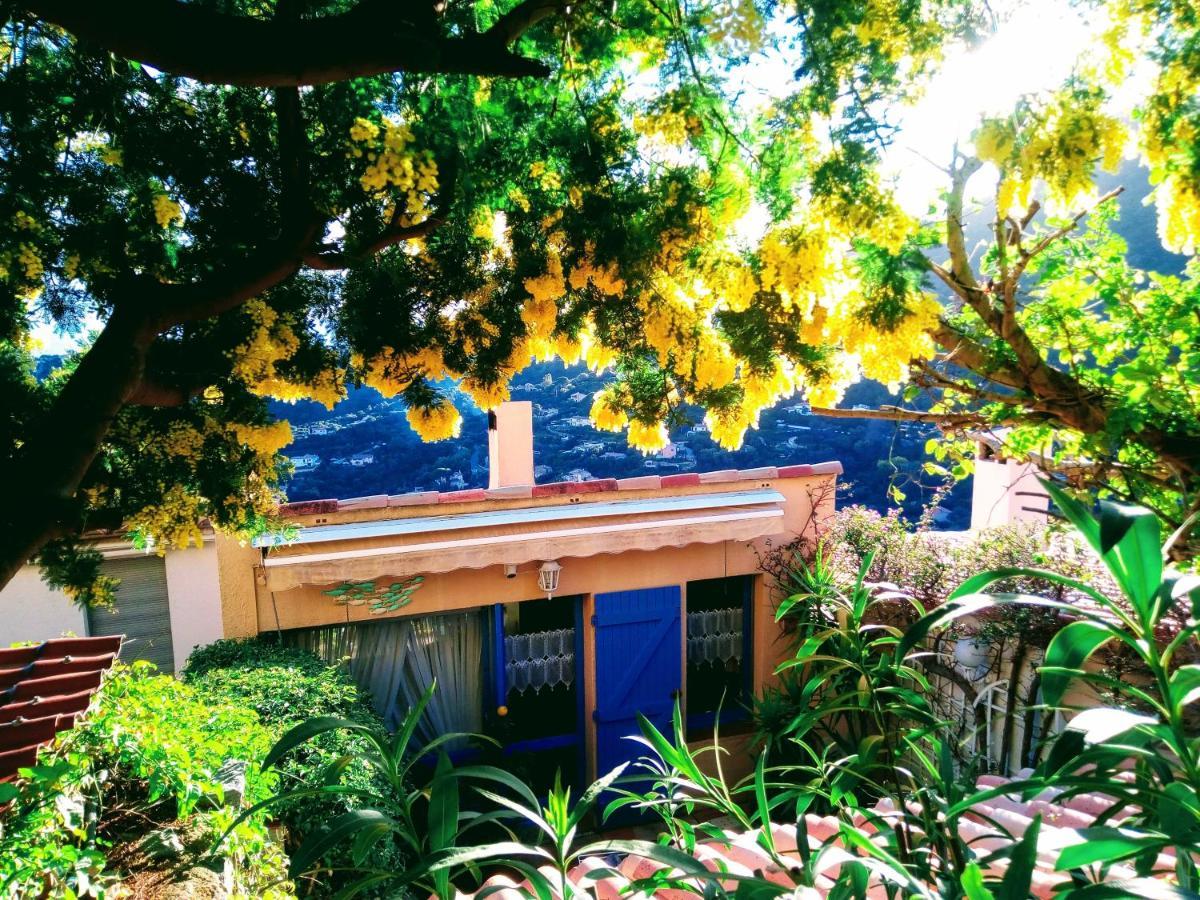 Nouveau ! Chambre D'Hote Insolite Privee " Coeurs De Pirates A Bali En Provence" Spa Sauna Massages Dans Cadre Exotique D'Amenagements Exterieurs D'Exception Ete Comme Hiver Bienvenue !!! Cavalaire-sur-Mer Zewnętrze zdjęcie