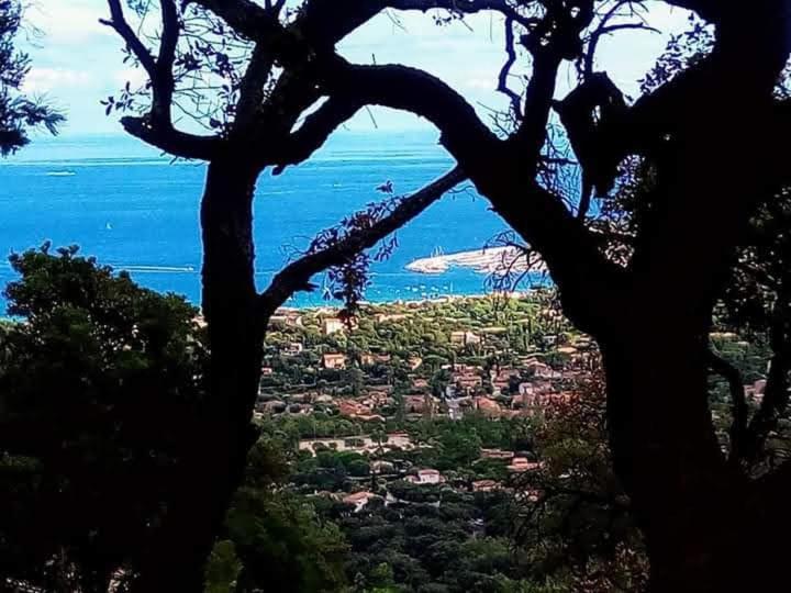 Nouveau ! Chambre D'Hote Insolite Privee " Coeurs De Pirates A Bali En Provence" Spa Sauna Massages Dans Cadre Exotique D'Amenagements Exterieurs D'Exception Ete Comme Hiver Bienvenue !!! Cavalaire-sur-Mer Zewnętrze zdjęcie
